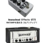 Ananashead Effects GT73